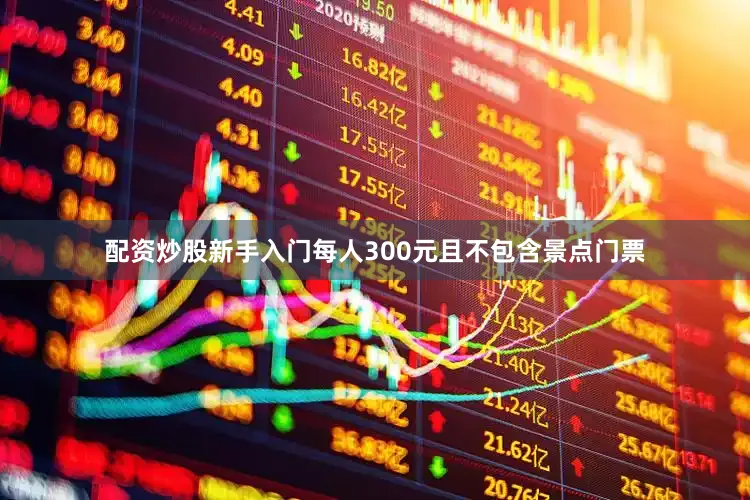 配资炒股新手入门每人300元且不包含景点门票