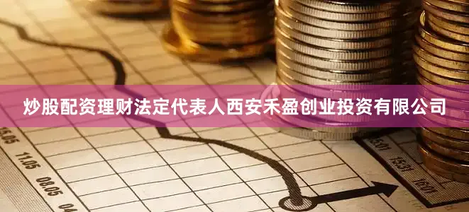 炒股配资理财法定代表人西安禾盈创业投资有限公司